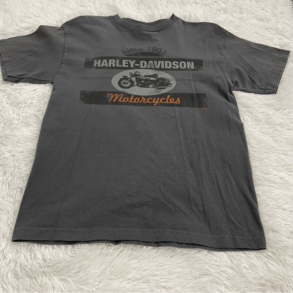 HARLEY DAVIDSON MENS T-SHIRT SIZE M, VERY GOOD CONDITION, PREOWNED